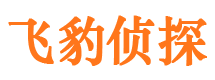 内江私家侦探